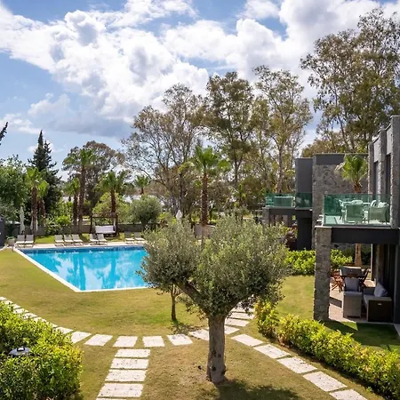 Villa Ares Yalikavak